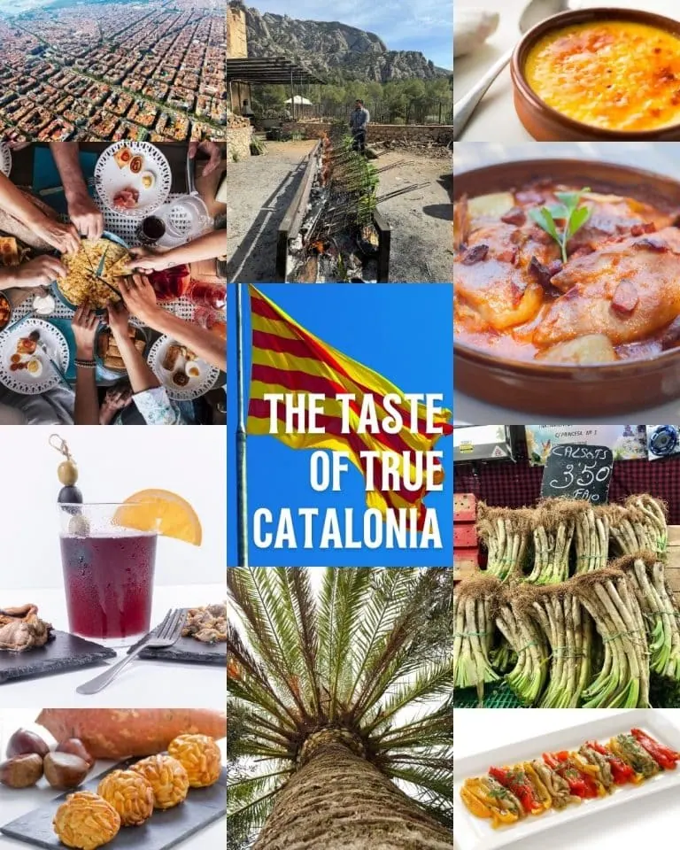catalonia true taste cover